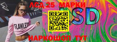 mdpv Заводоуковск