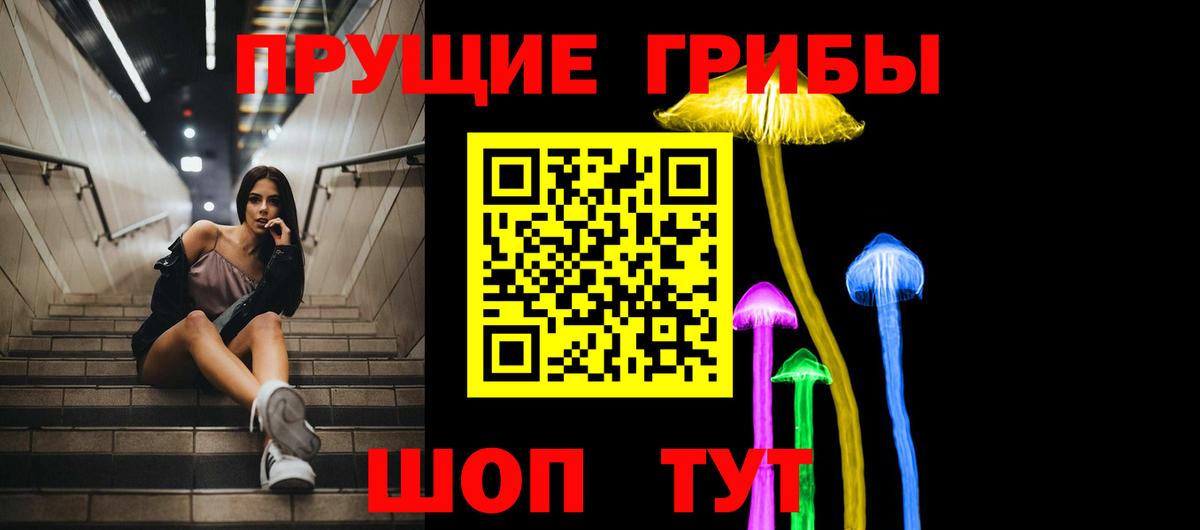 Вязьма  Псилоцибиновые грибы Psilocybe  Вход с VPN 